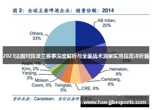 2023法国对阵波兰赛事深度解析与全面战术洞察实用指南详析篇