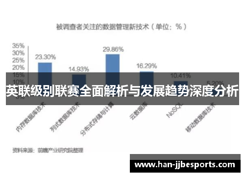 英联级别联赛全面解析与发展趋势深度分析 英联级别联赛全面解析与发展趋势深度分析